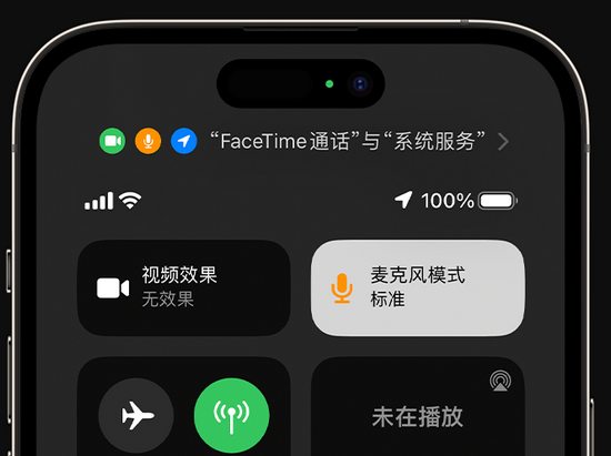 康平苹果授权维修网点分享iPhone在通话时让你的声音更清晰 