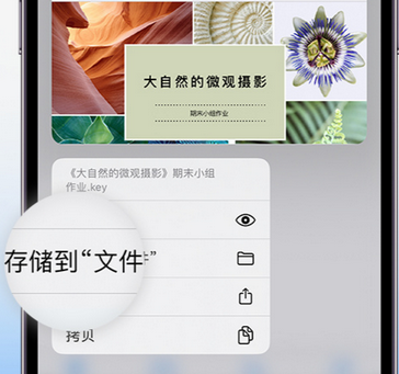 康平apple维修中心分享iPhone文件应用中存储和找到下载文件