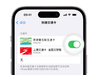 康平apple维修点分享iPhone上更换Apple Pay快捷交通卡手绘卡面 