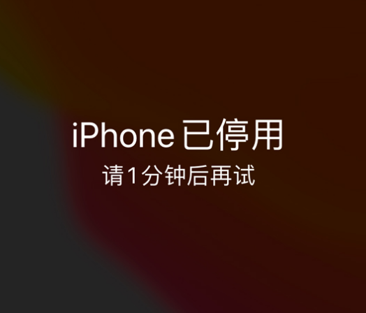 康平苹果手机维修分享:iPhone 显示“不可用”或“已停用”怎么办？还能保留数据吗？ 