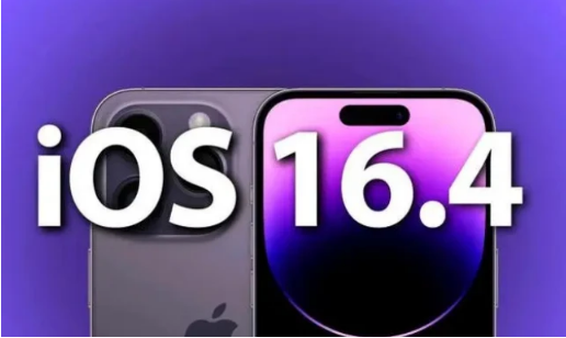 康平苹果14维修分享：iPhone14可以升级iOS16.4beta2吗？ 