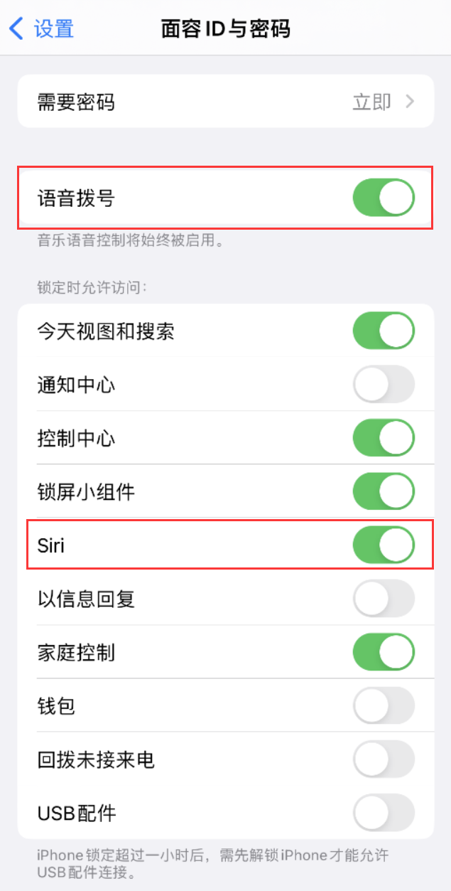 康平苹果维修网点分享不解锁 iPhone 的情况下通过 Siri 拨打电话的方法 