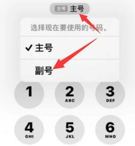 康平苹果14维修店分享iPhone 14 Pro Max使用副卡打电话的方法 