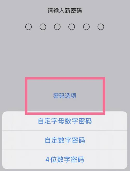 康平苹果14维修分享iPhone 14plus设置密码的方法 