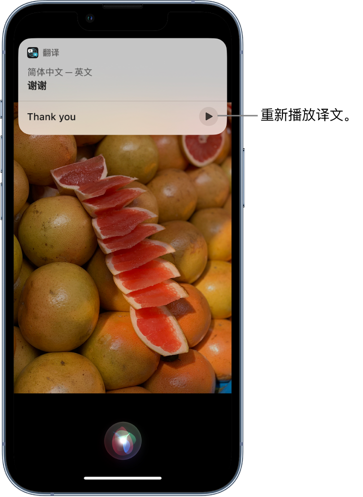 康平苹果14维修分享 iPhone 14 机型中使用 Siri：了解 Siri 能帮你做什么 