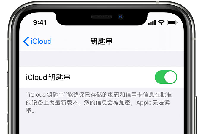 康平苹果手机维修分享在 iPhone 上开启 iCloud 钥匙串之后会储存哪些信息 